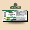 nature-s-answer-alcohol-free-herbal-supp-2.jpg