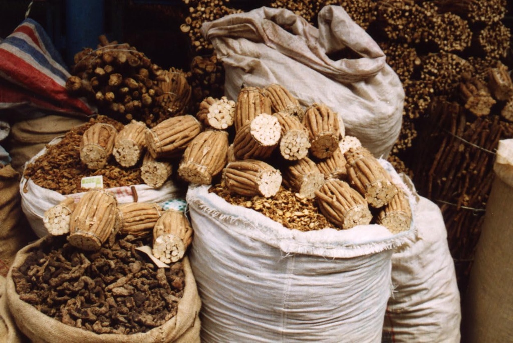 dragon-herbs-astragalus-root-drops-2-fl--4.jpg