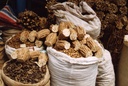 dragon-herbs-astragalus-root-drops-2-fl--4.jpg