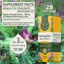 herbamama-astragalus-root-supplement-imm-3.jpg