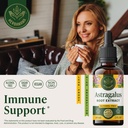 herbamama-astragalus-root-supplement-imm-2.jpg