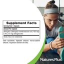 naturesplus-herbal-actives-astragalus-60-5.jpg