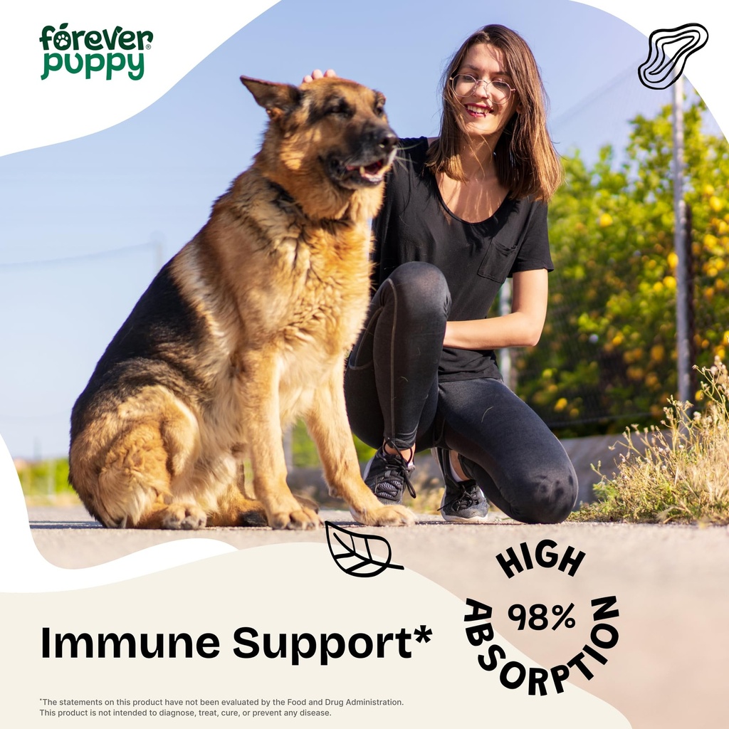 astragalus-root-drops-for-dogs-immune-su-2.jpg