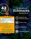herb-pharm-echinacea-alcohol-free-extrac-2.jpg