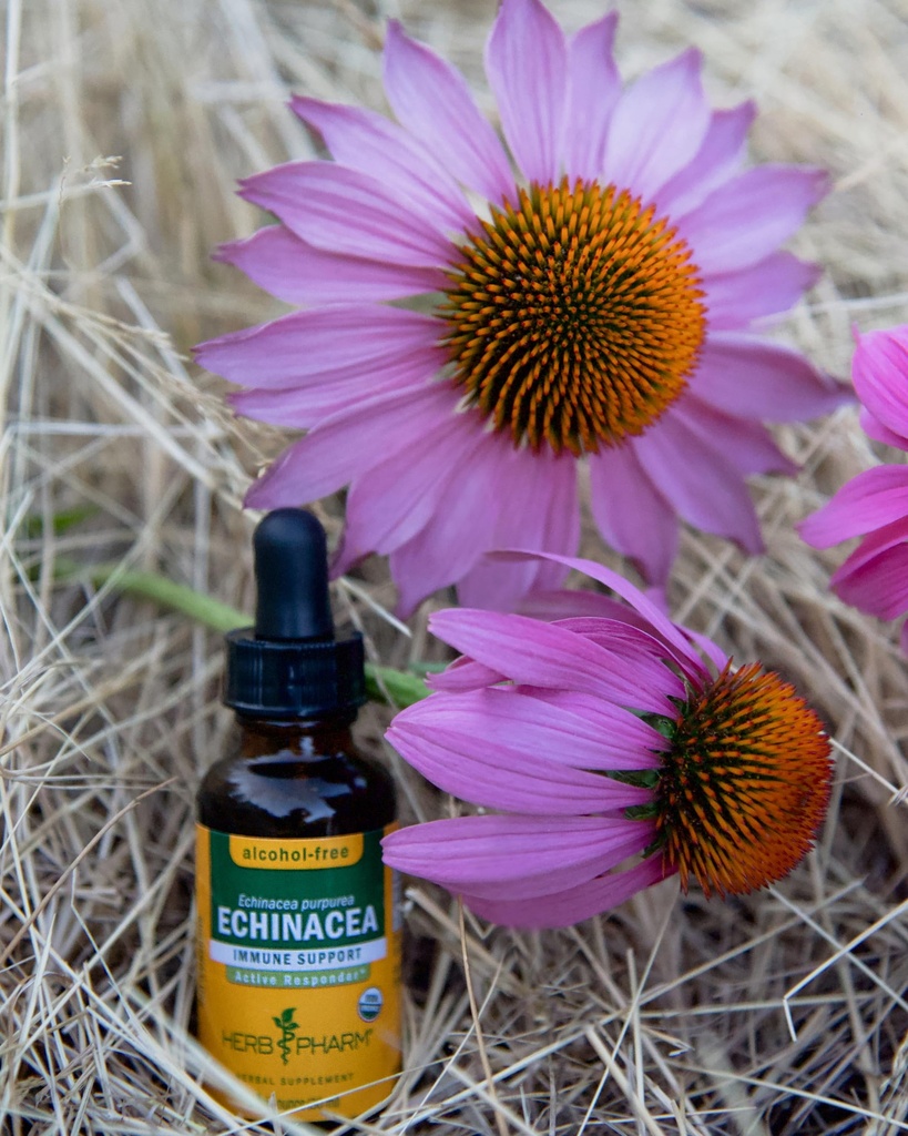 herb-pharm-echinacea-alcohol-free-extrac-4.jpg