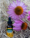 herb-pharm-echinacea-alcohol-free-extrac-4.jpg