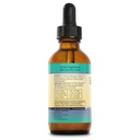 herbs-for-kids-echinacea-astragalus-orga-3.jpg