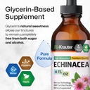 echinacea-for-immune-respiratory-support-6.jpg