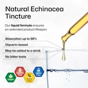 echinacea-for-immune-respiratory-support-4.jpg