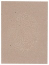 gomacro-bar-protein-replishment-peanut-b-6.jpg