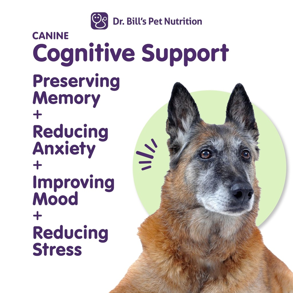 dr-bill-s-canine-cognitive-support-suppl-3.jpg