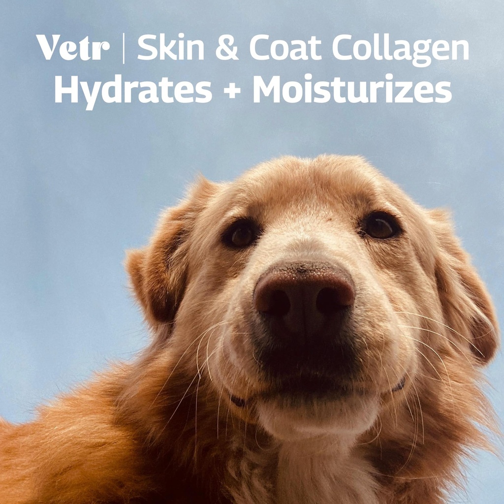 vetr-skin-coat-collagen-for-dogs-bacon-f-5.jpg