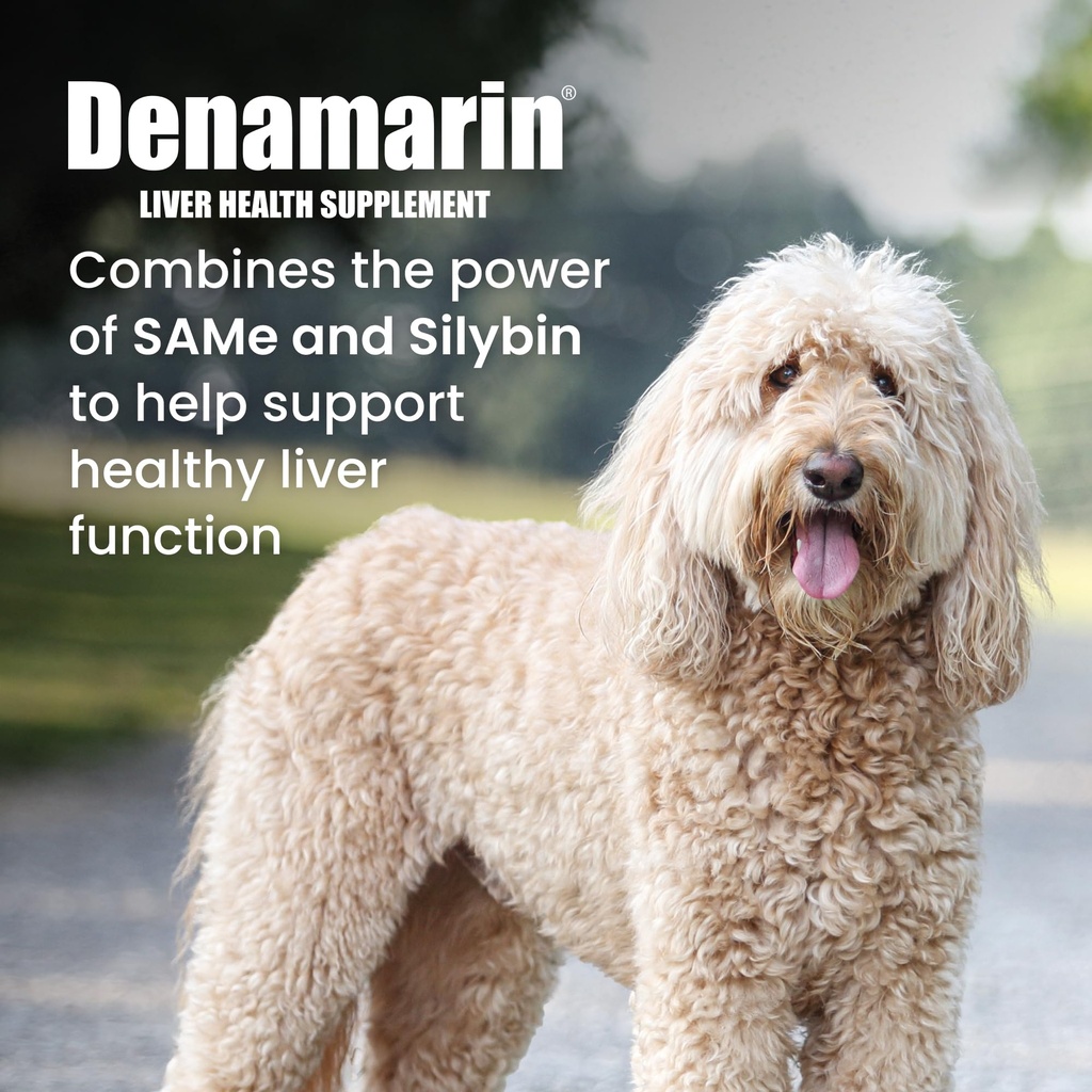 nutramax-denamarin-liver-supplement-for--2.jpg
