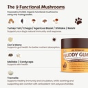 buddy-guard-for-lumps-and-bumps-lipoma-f-5.jpg