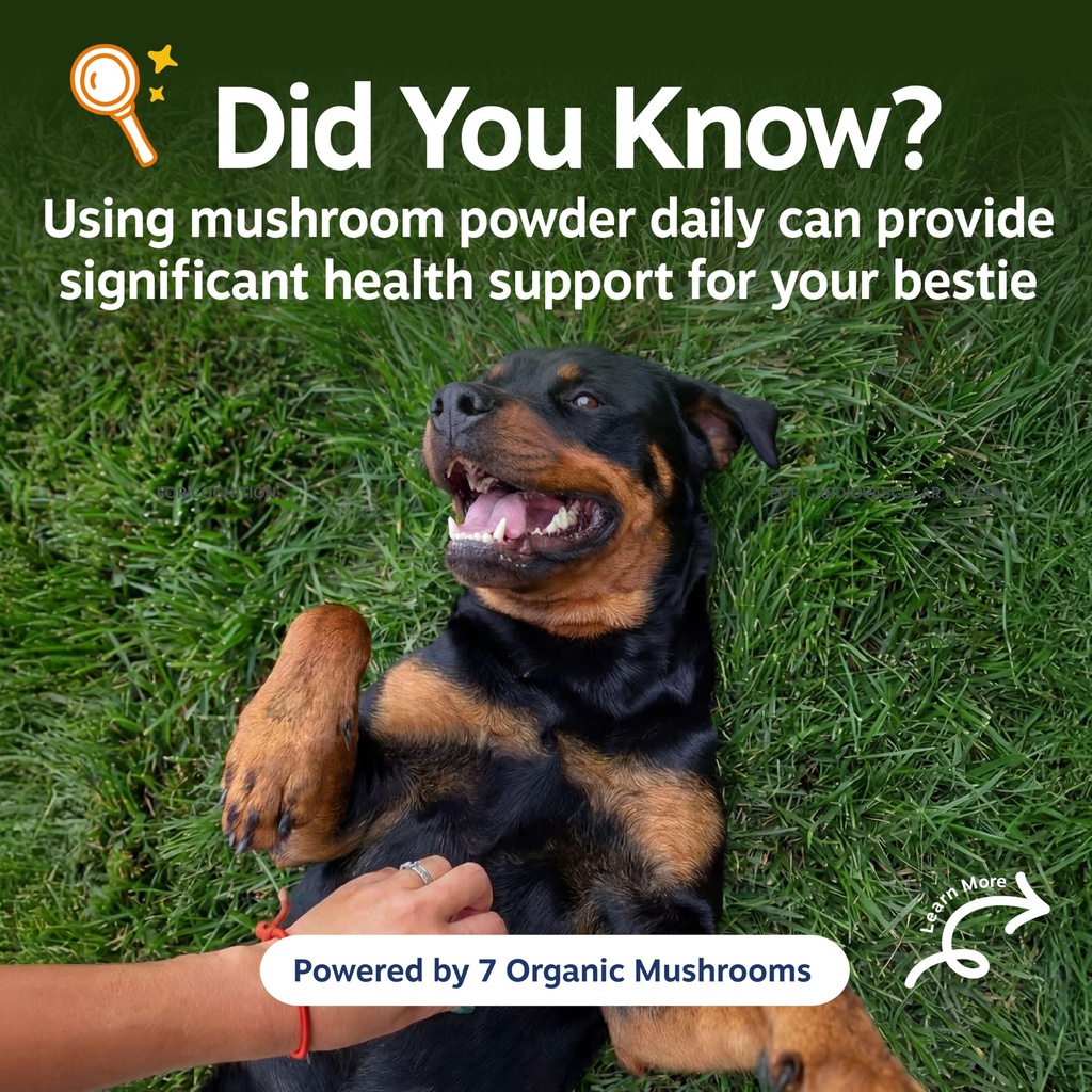 zesty-paws-organic-mushroom-powder-for-d-2.jpg