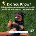zesty-paws-organic-mushroom-powder-for-d-2.jpg