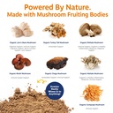 zesty-paws-organic-mushroom-powder-for-d-5.jpg