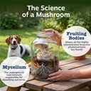 zesty-paws-organic-mushroom-powder-for-d-4.jpg