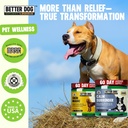 better-dog-supplements-calm-skin-wellnes-4.jpg