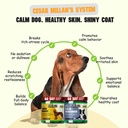 better-dog-supplements-calm-skin-wellnes-3.jpg