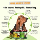 better-dog-supplements-skin-seasonal-wel-3.jpg