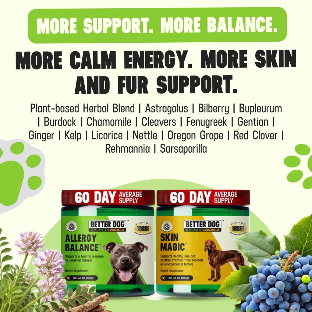 better-dog-supplements-skin-seasonal-wel-6.jpg