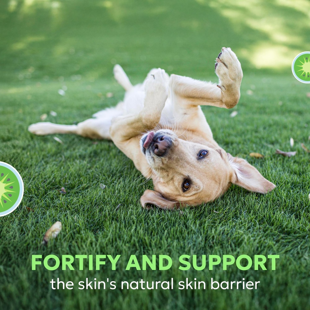 nutramax-dermaquin-skin-support-suppleme-4.jpg
