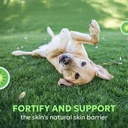 nutramax-dermaquin-skin-support-suppleme-4.jpg