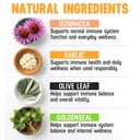 better-dog-supplements-gut-immune-wellne-2.jpg