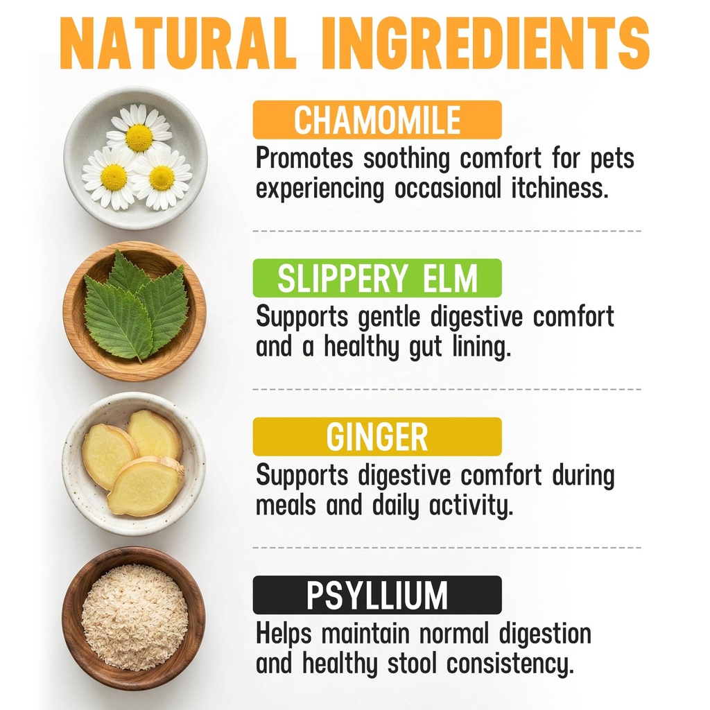 better-dog-supplements-gut-immune-wellne-3.jpg