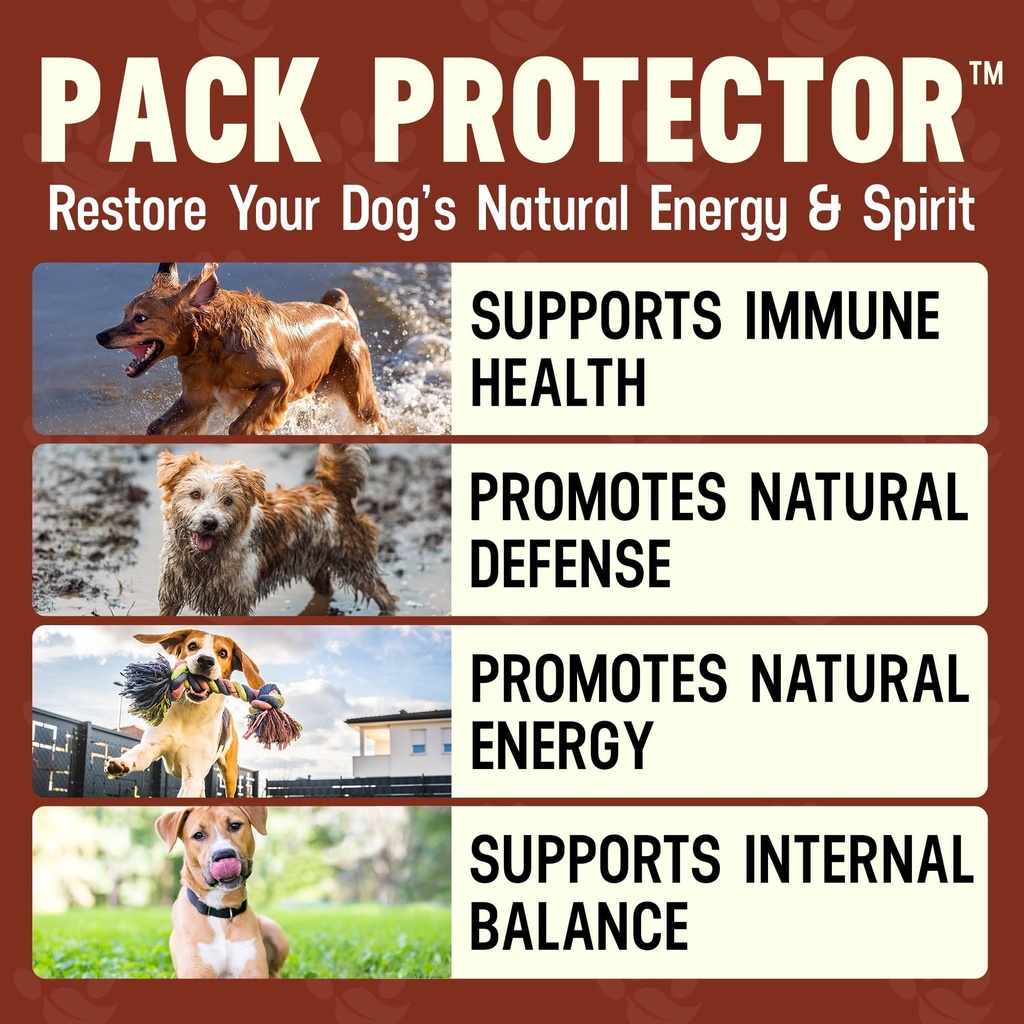 better-dog-supplements-gut-immune-wellne-4.jpg
