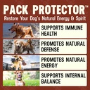 better-dog-supplements-gut-immune-wellne-4.jpg