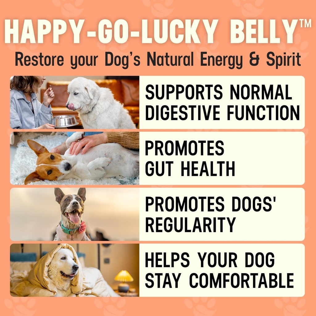 better-dog-supplements-gut-immune-wellne-5.jpg