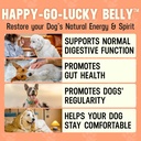 better-dog-supplements-gut-immune-wellne-5.jpg