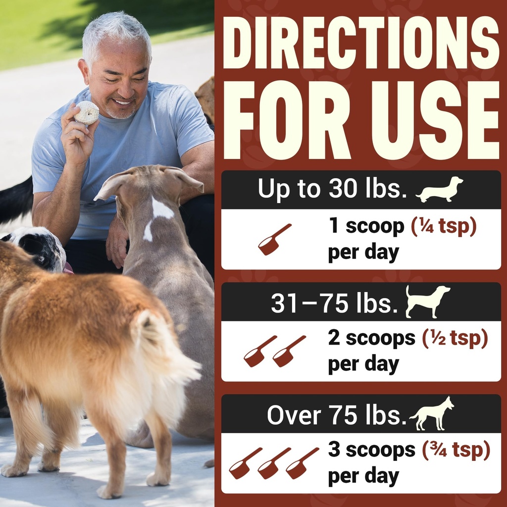 better-dog-supplements-gut-immune-wellne-6.jpg