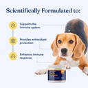 turkey-tail-mushroom-for-dogs-digestive--2.jpg