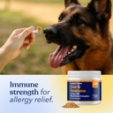 turkey-tail-mushroom-for-dogs-digestive--6.jpg