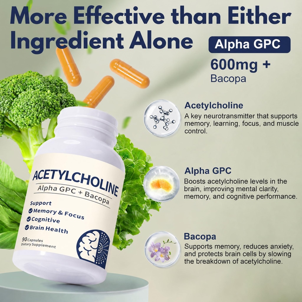 acetylcholine-supplements-with-alpha-gpc-4.jpg