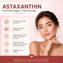 astaxanthin-supplement-12mg-antioxidant--4.jpg