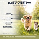 milk-thistle-for-dogs-liver-support-liqu-3.jpg