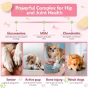 zebora-salmon-oil-glucosamine-for-dogs-o-2.jpg