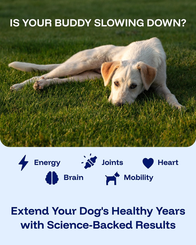 pawprint-wellness-protocol-liquid-multiv-3.jpg