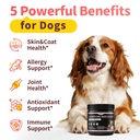 salmon-oil-for-dogs-skin-coat-13-in-1-wi-2.jpg