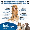 salmon-oil-for-dogs-120-ct-skin-and-coat-2.jpg