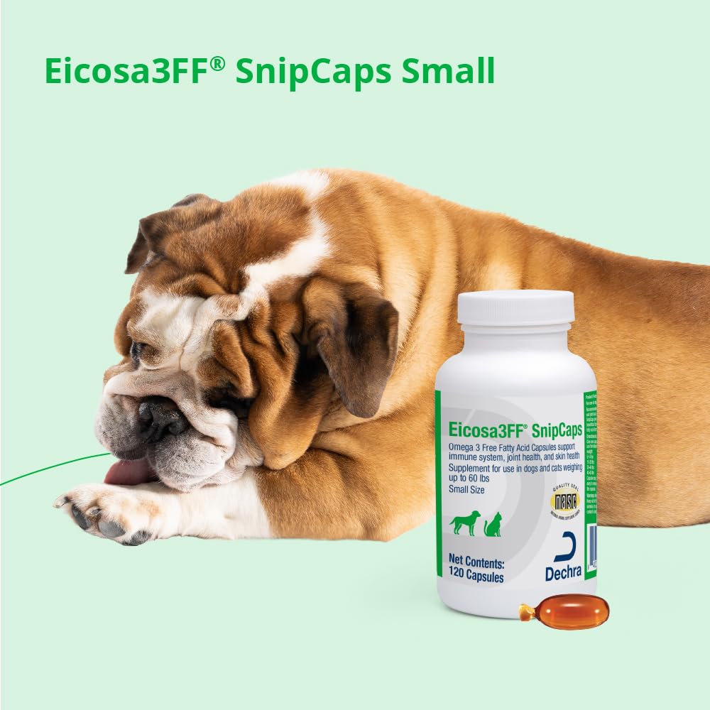 snipcaps-omega-3-free-fatty-acid-capsule-6.jpg