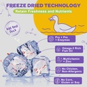 dog-allergy-relief-with-probiotics-for-d-6.jpg