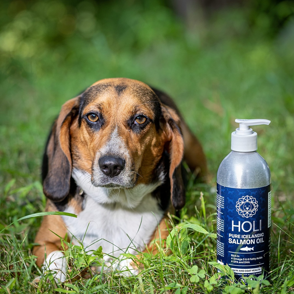 holi-salmon-oil-for-dogs-and-cats-skin-a-6.jpg