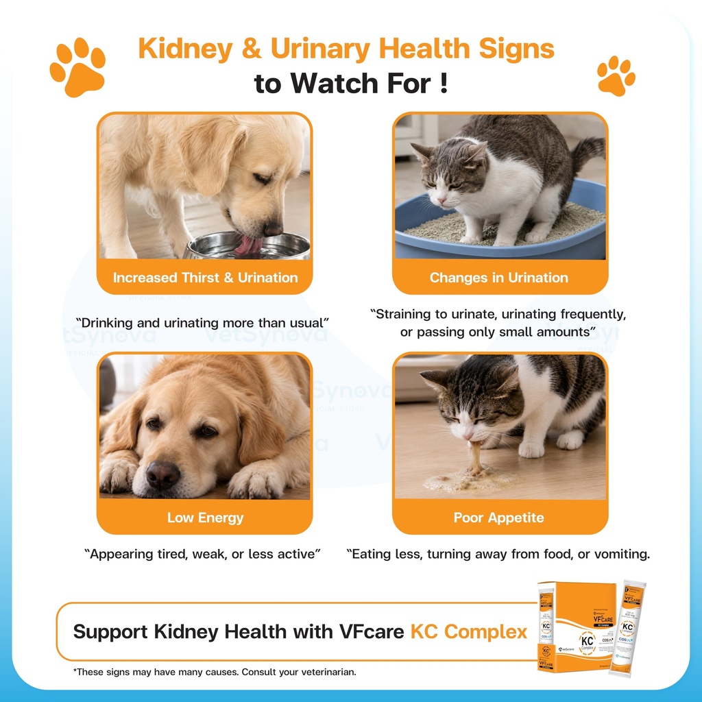 kc-complex-kidney-support-supplement-for-2.jpg