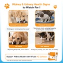 kc-complex-kidney-support-supplement-for-2.jpg
