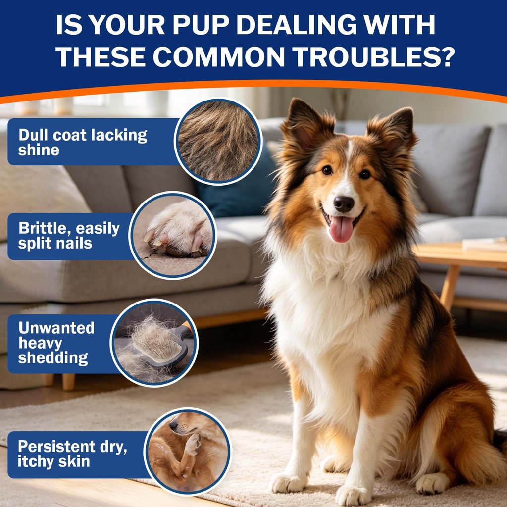biotin-supplement-for-dogs-healthy-skin--2.jpg